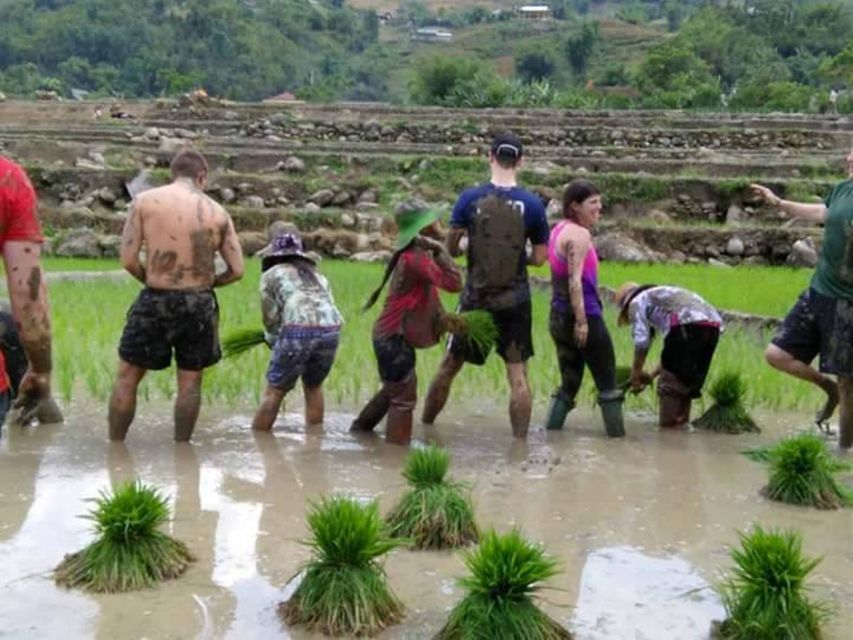 Sa Pa: 2-Day Trekking Trip with Ethnic Minority Homestay - Should You Book This Sa Pa 2-Day Ethnic Trek?