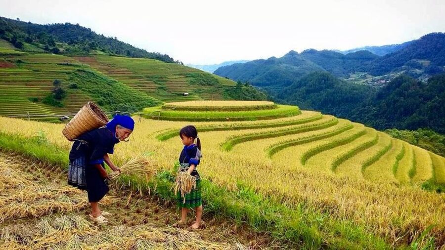Sa Pa: 6-Hours Muong Hoa Valley Trek with Local Ethnic guide - What’s Included vs. What You’ll Pay For