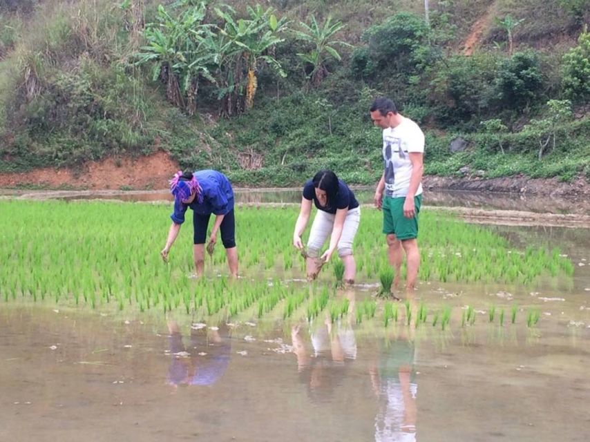 Sa Pa: 6-Hours Muong Hoa Valley Trek with Local Ethnic guide - Ta Van Village Homes: Weaving and Rice Cultivation in Real Life Terms