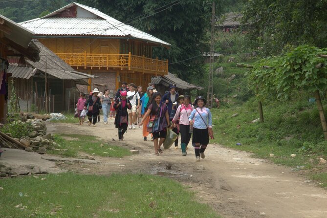 Sa Pa Full Day Trekking Tour - Stop 1: Y Linh Ho Village and the Muong Hoa rice terraces
