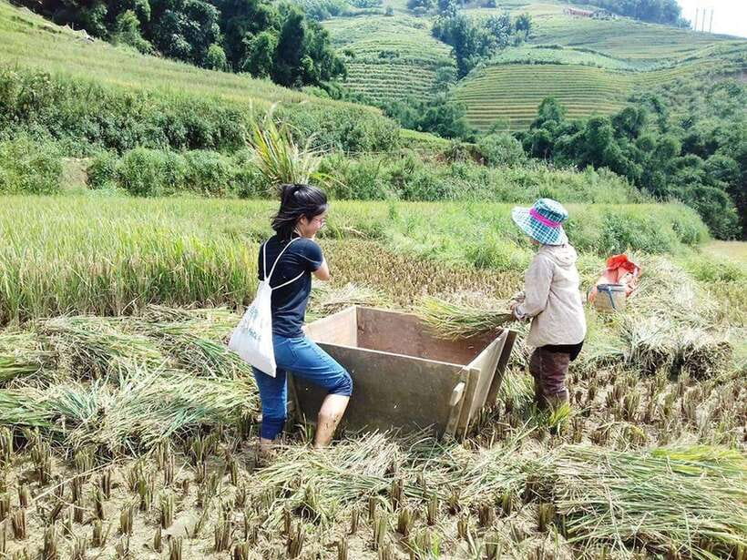 Sa Pa: Muong Hoa Valley Trek and Local Ethnic Villages - Key things I’d circle before you go