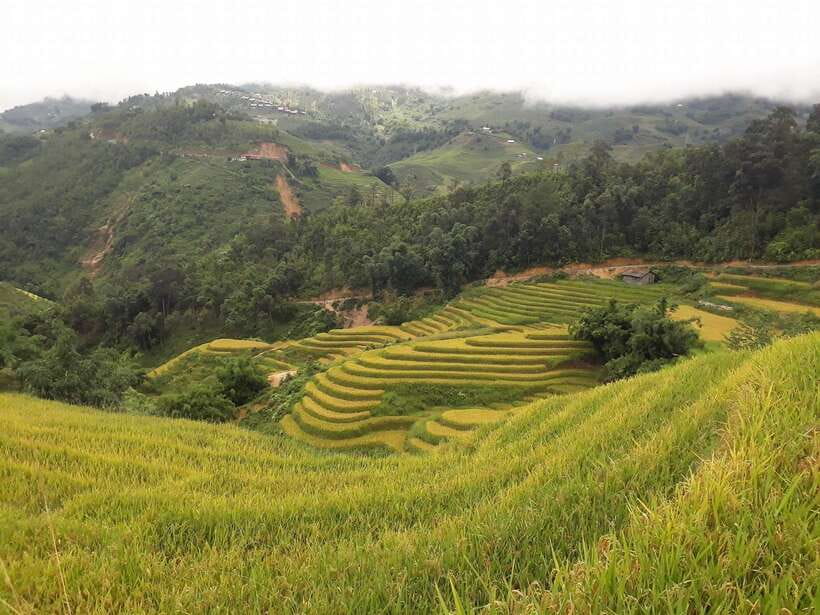 Sa Pa: Muong Hoa Valley Trek and Local Ethnic Villages - From Sa Pa to the first steps: mist, terraces, and a river crossing