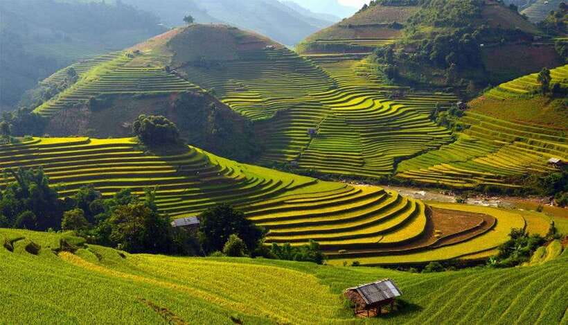 Sa Pa: Muong Hoa Valley Trek and Local Ethnic Villages - Along the Muong Hoa River to the suspension bridge
