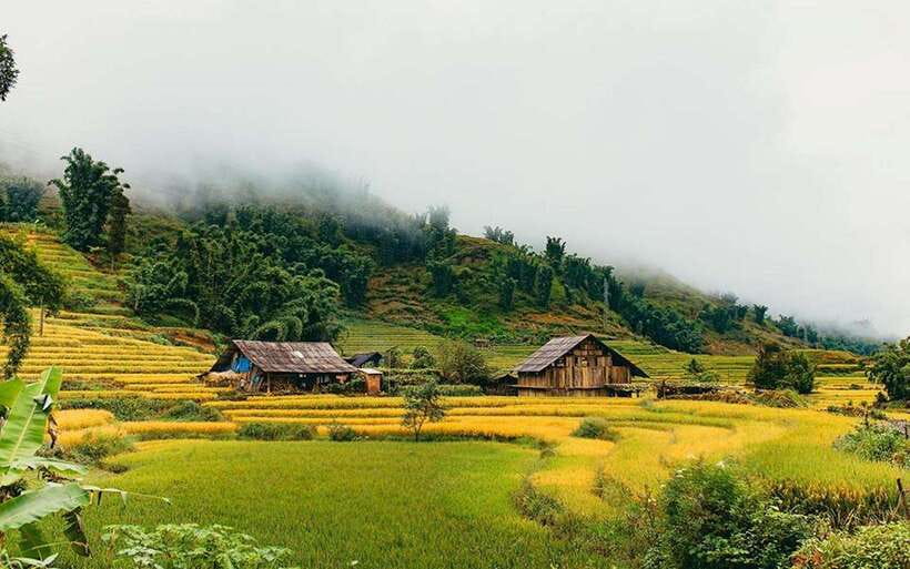 Sa Pa: Muong Hoa Valley Trek and Local Ethnic Villages - Ancient rock carvings: when the trail turns archaeological