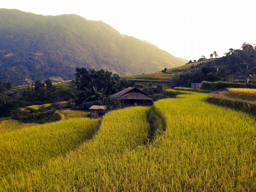 Sa Pa: Muong Hoa Valley Trek and Local Ethnic Villages - Price and value: why about $23 can still feel fair