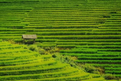 Sa Pa Trekking 2 Days 3 Nights Homestay by Night Train - Giang Ta Chai Village Trek: 4 hamlets, 2 minority cultures