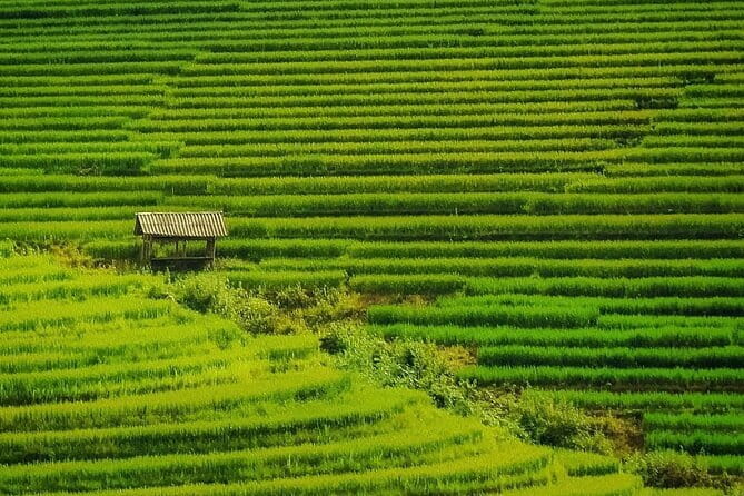 Sa Pa Trekking 2 Days 3 Nights Homestay by Night Train - Giang Ta Chai Village Trek: 4 hamlets, 2 minority cultures