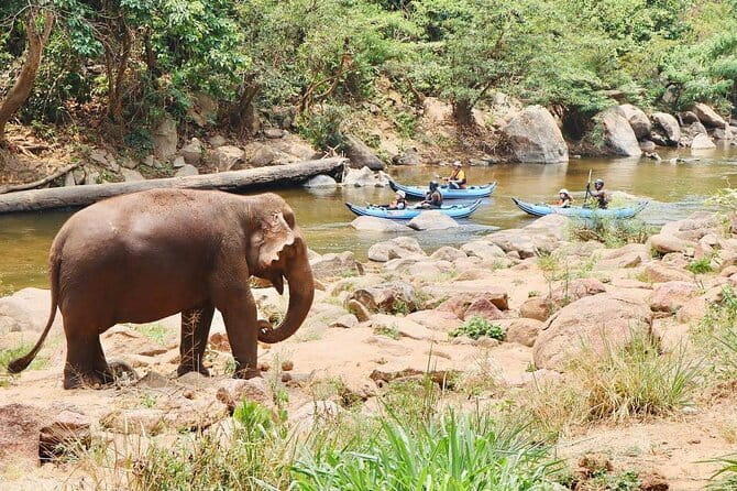 Safety whitewater rafting in Chiangmai by Khampan Rafting - Who should book this rafting session?