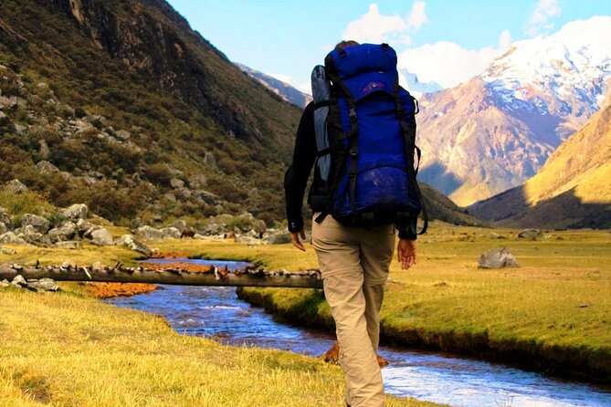 Salkantay Trek Standard 5D/4N - Day 2: Salkantay Pass (4,600m), Wayrac Machaq, and the High-Jungle Shift