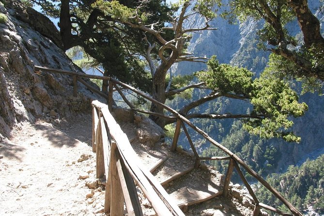 Samaria Gorge Trek: Full-Day Excursion from Rethymno with Guide - Getting There: Pickup Windows and the Drive to Omalos
