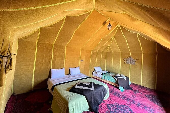 Sandboarding & Overnight in Merzouga Desert Camp Camel Trekking - Who should book (and who should reconsider)
