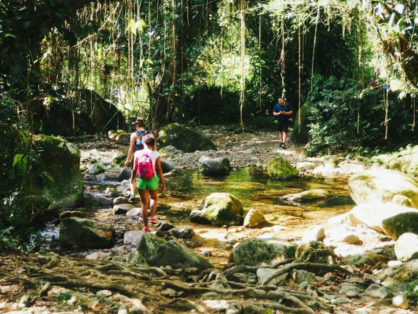 Santa Marta: Multi-Day Trek to The Lost City - Indigenous camps and river days: Wiwa, Kogui, and Mutanyi moments
