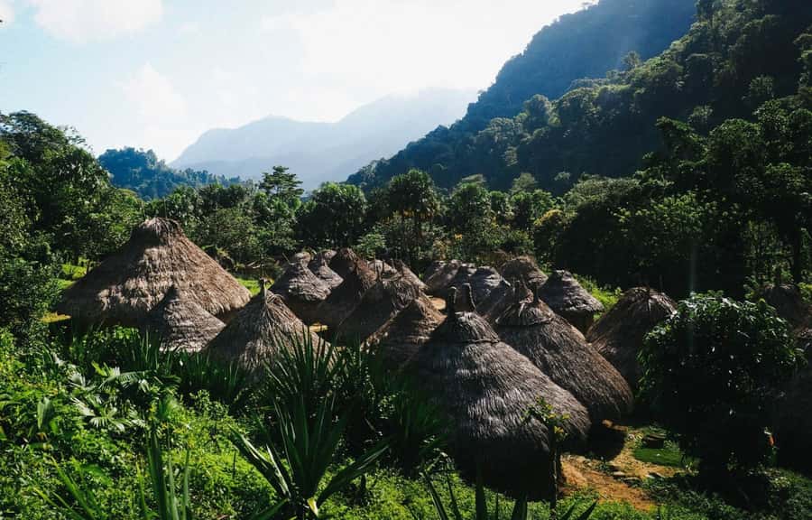 Santa Marta: Multi-Day Trek to The Lost City - Price and logistics: is $713 good value?