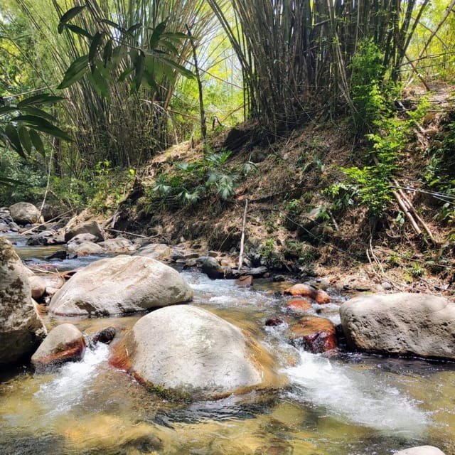Santa Marta: Trekking in Minca Complete Waterfall Circuit - Price and value: is $49 fair for what you get?
