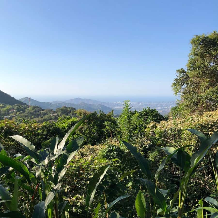 Santa Marta: Trekking in Minca Complete Waterfall Circuit - Marinka Waterfalls: where you actually slow down