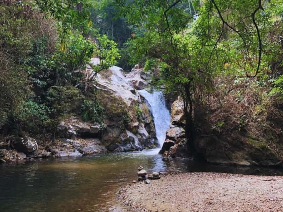 Santa Marta: Trekking in Minca Complete Waterfall Circuit - Biodiversity on foot: how the forest experience feels