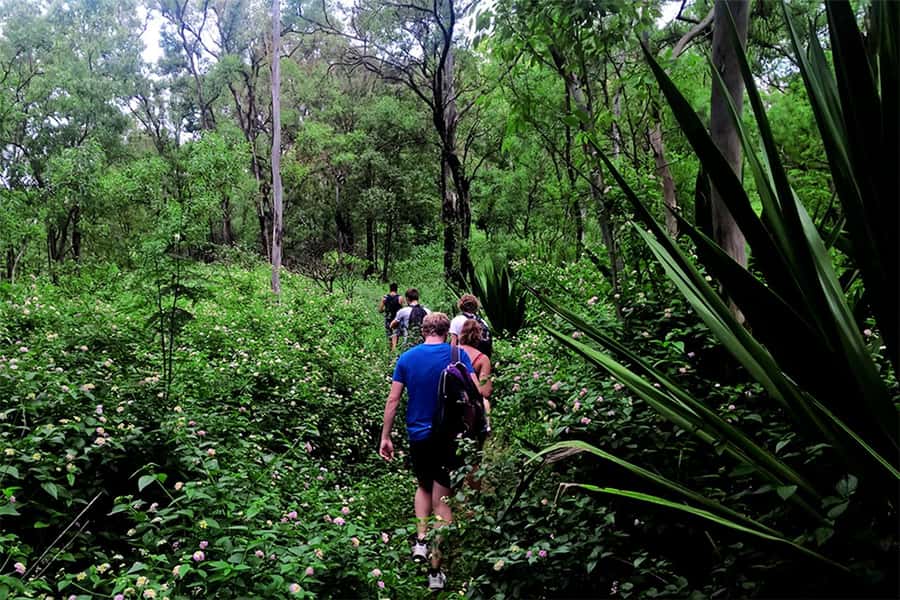 Santiago Island: Serra Malagueta & Tarrafal Beach Trek Tour - Tarrafal Beach Time: The Relaxation Payoff After the Walk