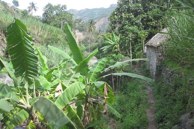 Santo Antão: Day Trip by Car or Trek - Ribeira Grande to Ponta do Sol: Town Color, Valley Farming, Fishing Ports
