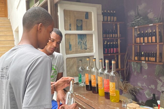 Santo Antão: Day Trip by Car or Trek - Ferry Time in the Mindelo Channel: What You Can Spot