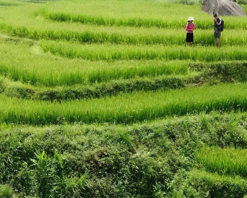 SAPA 1 DAY - Mountain Views And Villages Trek - Long Trek - Hang Da village: Black Hmong life and animals you’ll actually see