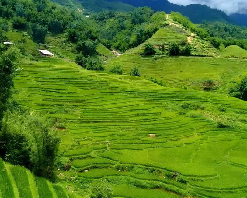 SAPA 1 DAY - Mountain Views And Villages Trek - Long Trek - The final walk toward Giang Ta Chai and the ride back