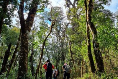 Sapa 1 day trek with local guide to the village by Comlam - The 9:00am start: pickup, downhill walking, and first views