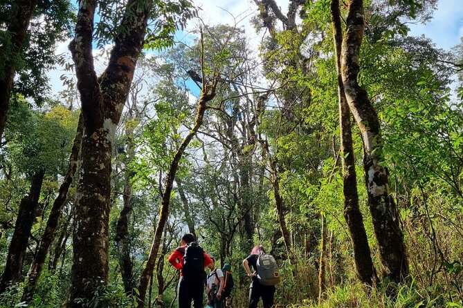 Sapa 1 day trek with local guide to the village by Comlam - The 9:00am start: pickup, downhill walking, and first views
