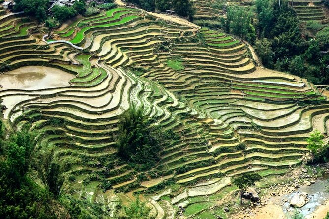 Sapa 1 Day Trekking - Giang Ta Chai and Hang Da: Two More Village Stops With Different Feel