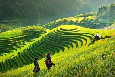 Sapa 1 Day Trekking Tours - Meeting Your Guide in Sapa: Office or Hotel, Then You Choose the Difficulty