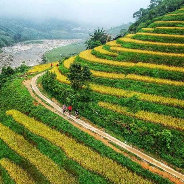 Sapa: 2-Day Local Guided Valley Trek with Night Homestay - Day 2: Giang Ta Chai Dao, bamboo forest walking, and Lao Chai terraces