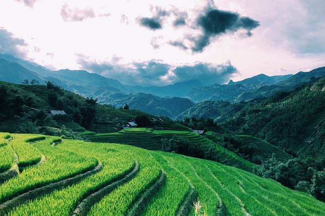 Sapa 2-Day Trek & Homestay in Ta Van Village – Be a Local - Day 2 trek: Giang Ta Chai, Bamboo Forest, and Su Pan