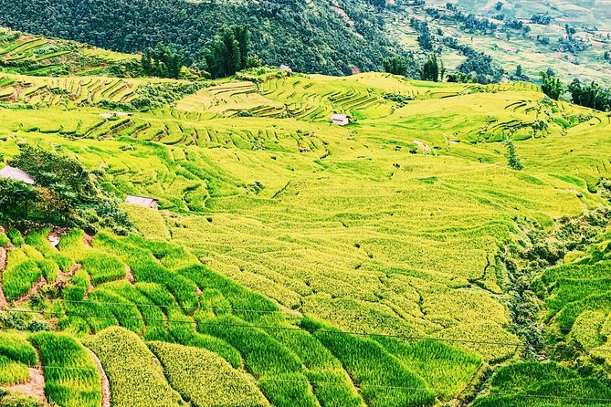 Sapa 2-Day Trek & Homestay in Ta Van Village – Be a Local - Who’s leading you: English-friendly guides and a small-group pace