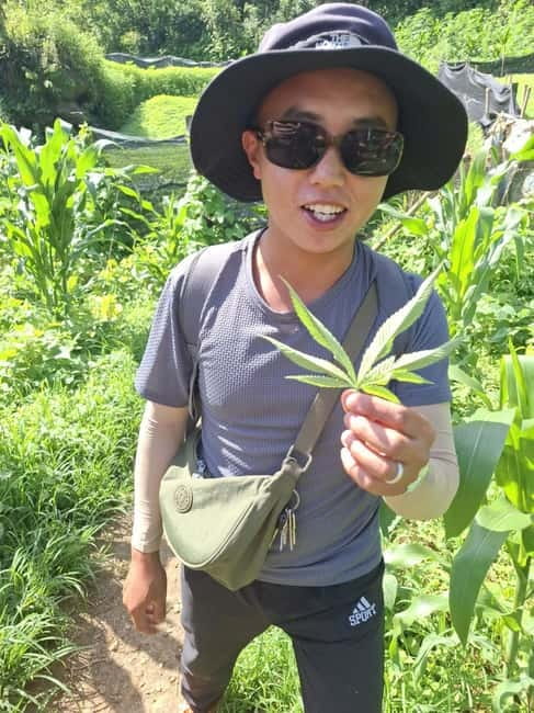SAPA: 2 DAY TREK MOUNTAIN & RICE FIELD WITH LALA HOMESTAY - How hard is this trek, really? (Day distances and pacing)