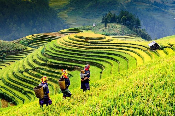 Sapa 2 days 1 night trekking Lao Chai Ta Van - Fansipan mountain by cable car - Entering the Sapa valleys: why this combo works