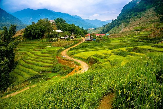 Sapa 2 days 1 night trekking Lao Chai Ta Van - Fansipan mountain by cable car - Day 2: Y Linh Ho terraces, then Lao Chai village
