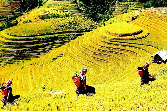 Sapa 2 Days Trek with 1 Night Homestay - Key things to know before you go