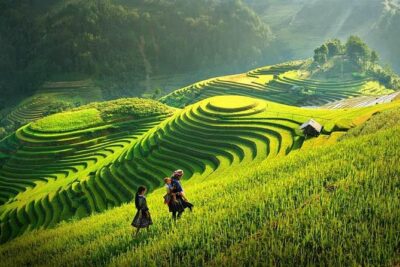 Sapa 2 Days Trek with 1 Night Homestay - Day 1: Y Linh Ho and the Village-to-Valley Feel