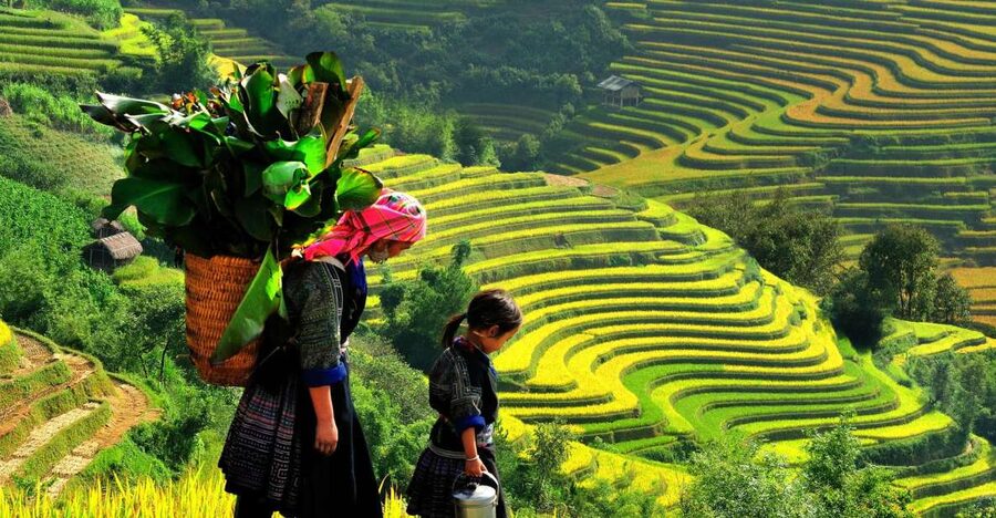 Sapa: 3-Day, 3-Night Trek and Hotel with Overnight Train - Key things I’d circle before you book