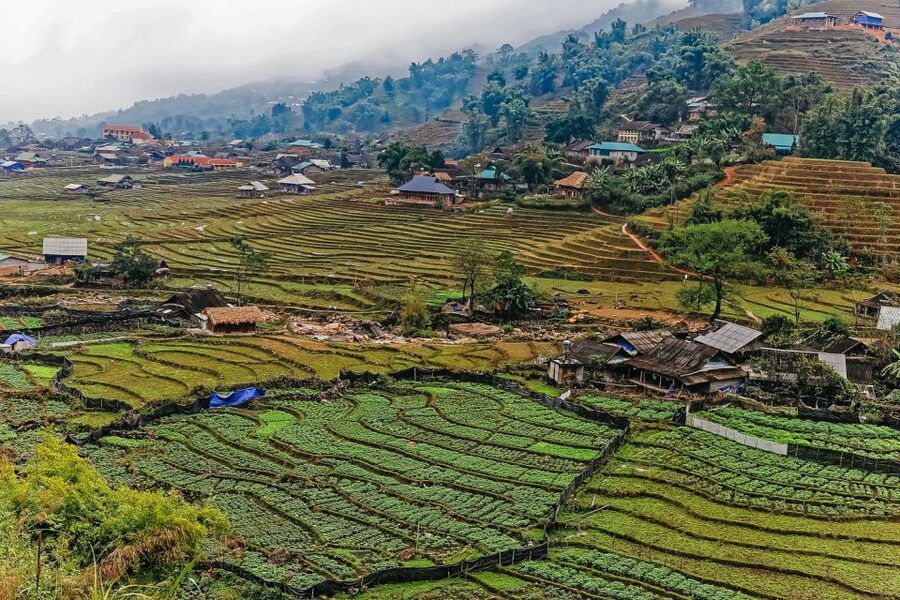 Sapa: 3-Day, 3-Night Trek and Hotel with Overnight Train - Overnight train from Hanoi to Lao Cai: the start that saves a day