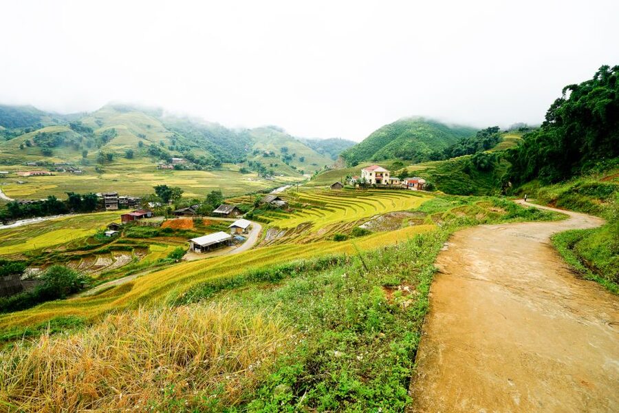 Sapa: 3-Day, 3-Night Trek and Hotel with Overnight Train - Day 2: Muong Hoa Valley trail to Ta Van (homestay night)