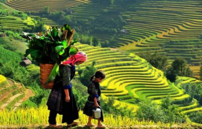 Sapa: 3-Day, 3-Night Trek and Hotel with Overnight Train - Day 1: Sin Chai village walk and Sapa’s evening vibe