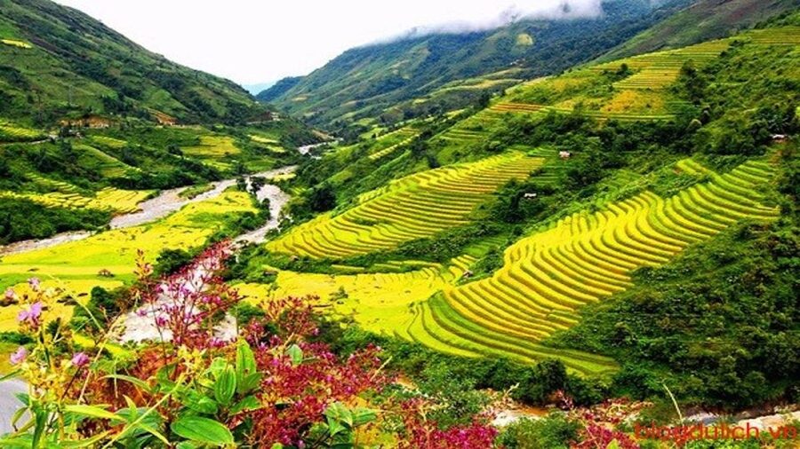 Sapa: 3-Day, 3-Night Trek and Hotel with Overnight Train - Village selling and following pressure: how to keep your walk calm