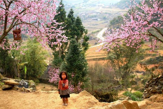 Sapa 3 Days 2 Nights Trekking Tour (1 Night In Ta Van Village, 1 Night In Hotel) - Day 3: Giang Ta Chai morning photos, then back to Sapa and Hanoi