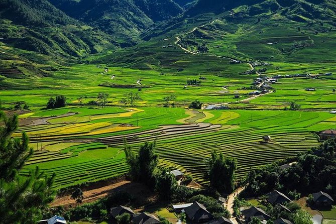 Sapa 3 Days 2 Nights Trekking Tour (1 Night In Ta Van Village, 1 Night In Hotel) - Price and logistics: where the $139 really lands