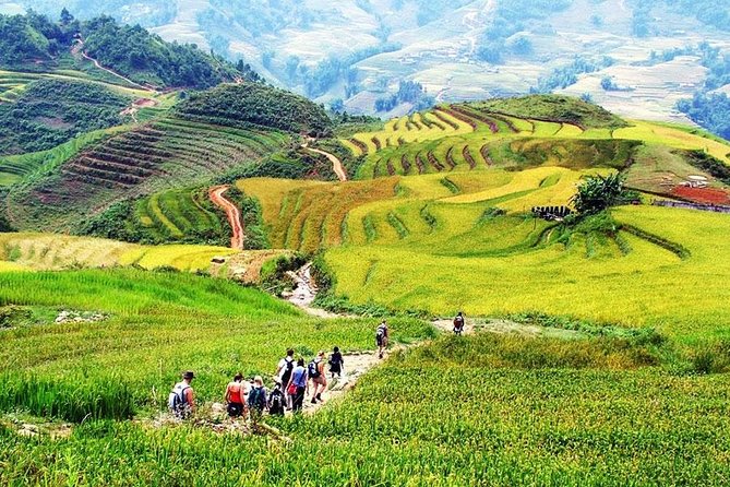Sapa 3 Days 2 Nights Trekking Tour (1 Night In Ta Van Village, 1 Night In Hotel) - Hanoi to Sapa transfer: the big first step