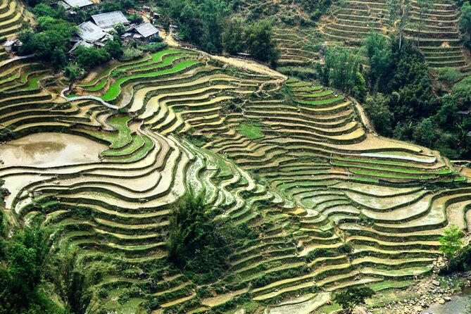 Sapa 3 Days Trek with 2 Nights Homestay - Day 2: Ta Van to Giang Ta Chai, Su Pan, and Ban Ho