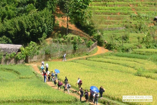 Sapa - Bac Ha Trek Tour - Night Train & Bus & Homestay overnight - Getting to Sapa town: short walks first, big walking after