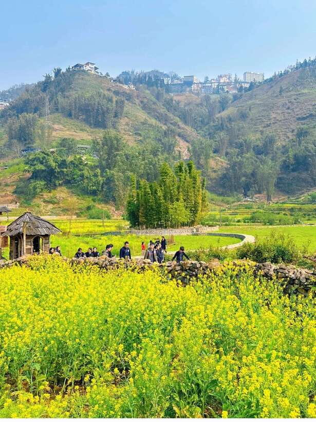 Sapa Cat Cat Village And Y Linh Ho Private Trekking Tour - Key highlights you’ll actually care about