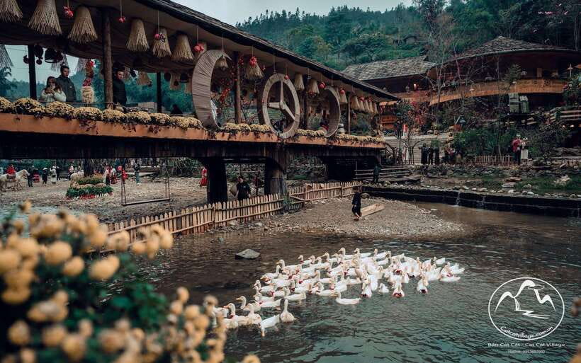 Sapa Cat Cat Village And Y Linh Ho Private Trekking Tour - Y Linh Ho Pass and Rice Terraces: Your Panoramic Reward