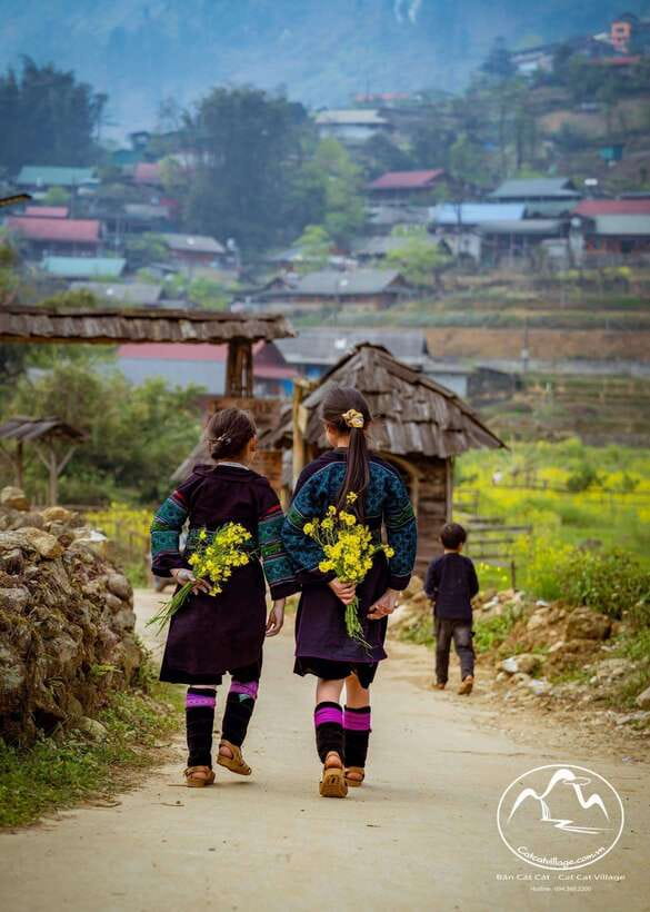 Sapa Cat Cat Village And Y Linh Ho Private Trekking Tour - What the Private Format Changes (and Why That Matters)
